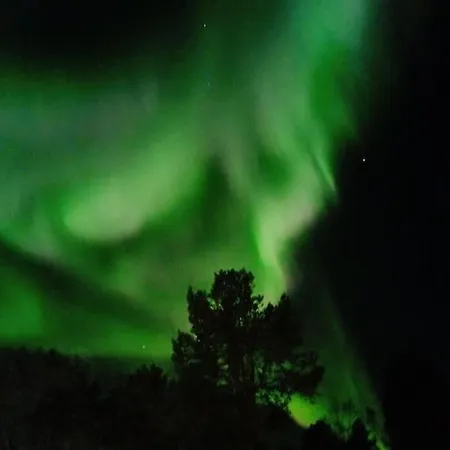 Koselig Og Moderne Leilighet, Meget Sentralt I Med Gratis Parkering! Apartamento *