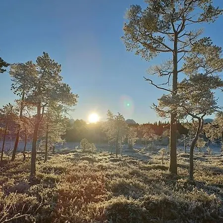 アパート Koselig Og Moderne Leilighet, Meget Sentralt I Med Gratis Parkering! *