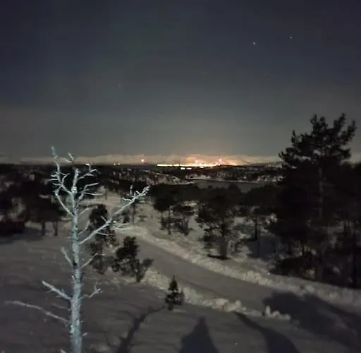 Koselig Og Moderne Leilighet, Meget Sentralt I Med Gratis Parkering! Apartamento Narvik