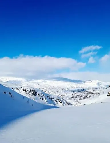 Apartamento Koselig Og Moderne Leilighet, Meget Sentralt I Med Gratis Parkering! Narvik